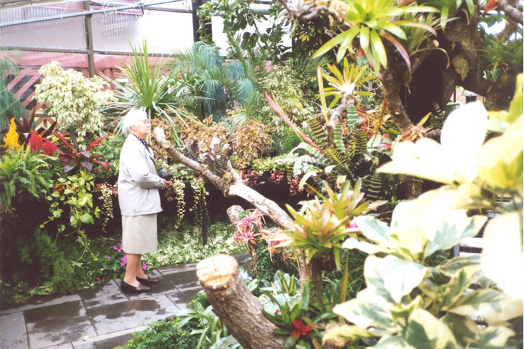 Luscious, tropical planting surrounding a lady in a tropical house as she admires the planting.