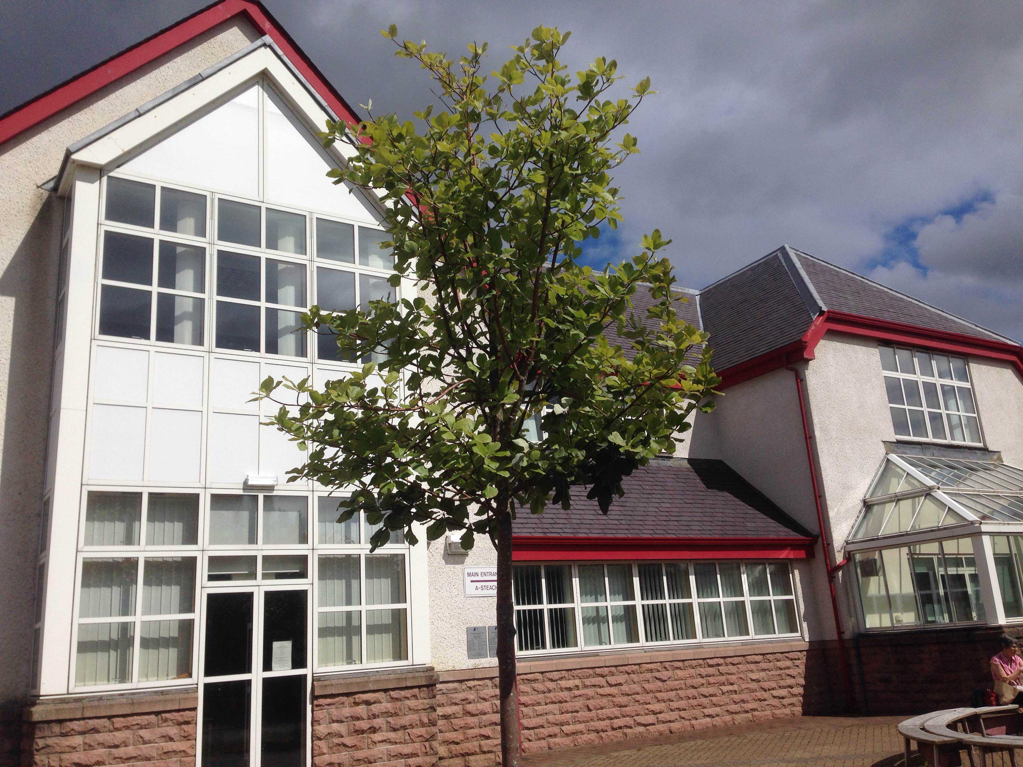 Modern two-story building with white walls, red trim, and large windows, featuring a tree in front and a cloudy sky overhead.