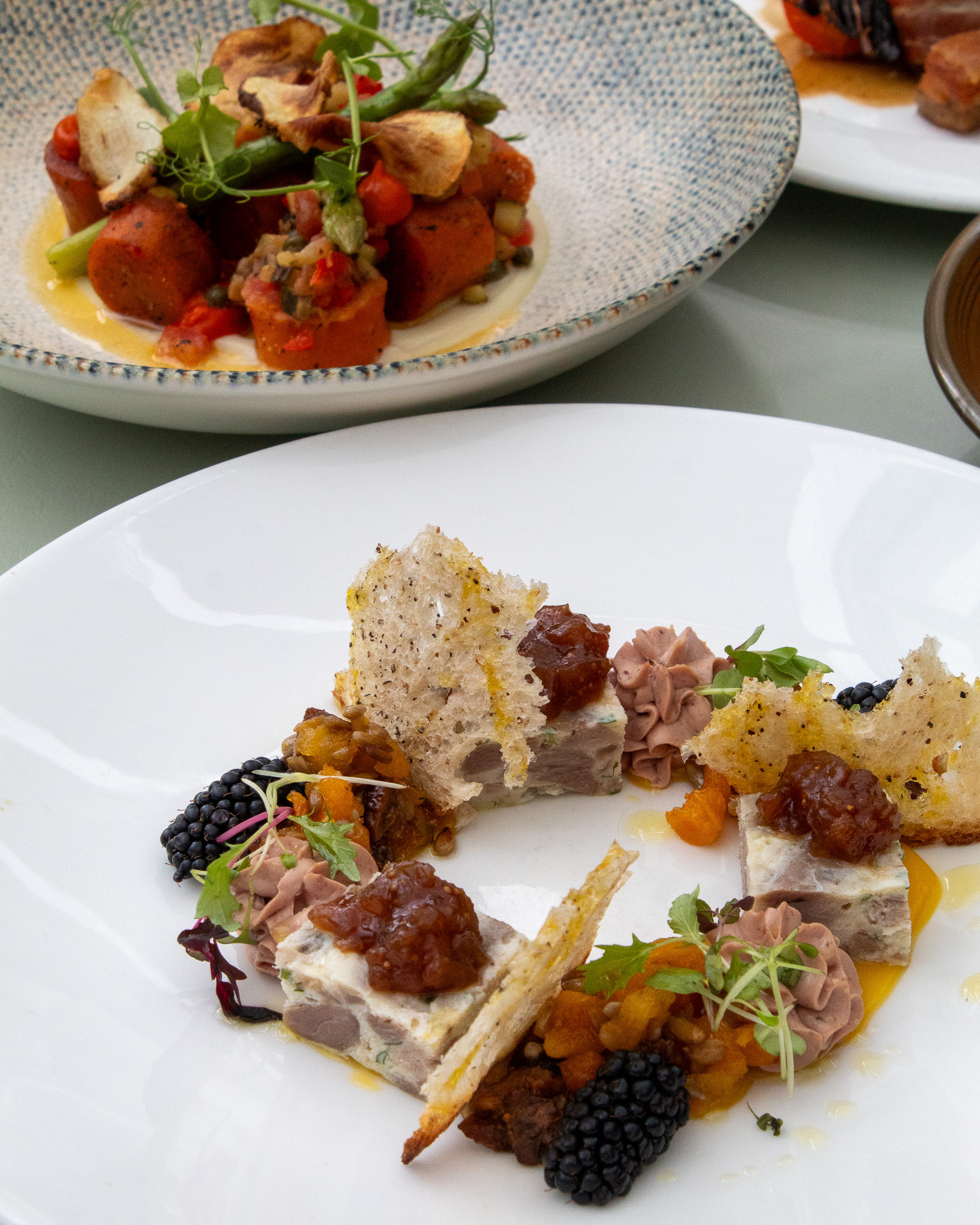 A close-up of a gourmet dish served on a white plate, featuring small cubes of terrine topped with chutney, garnished with crispy cheese shards, microgreens, blackberries, and colorful vegetable accompaniments arranged in an artistic circular pattern. In the background, another plate holds a vibrant dish of roasted vegetables with sauce and garnish, adding depth to the fine dining presentation.