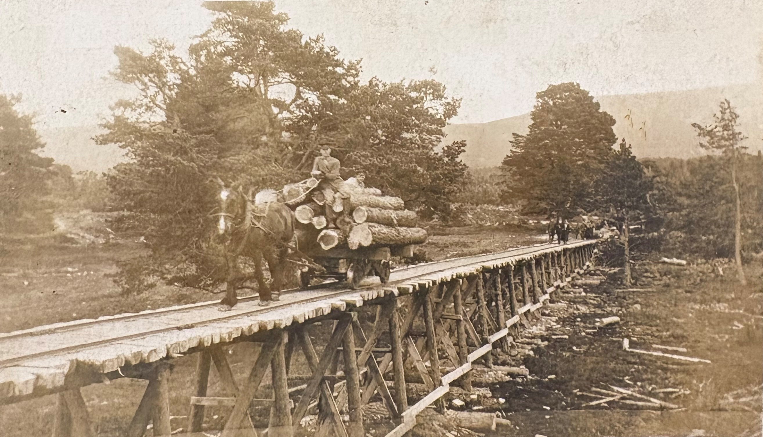 A sepia-toned historical photograph showing a horse pulling a cart loaded with large logs across a wooden trestle bridge. The bridge is constructed from timber beams and spans a rough, forested area with scattered logs on the ground below. A person is seated on top of the log pile on the cart, guiding the horse. In the background, there are trees and distant hills, suggesting a rural or mountainous setting. The image conveys an early 20th-century logging or timber transport scene.