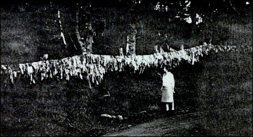A black and white photograph shows a woman in a white dress standing beside an array of fabric scarps and clothes hanging between trees