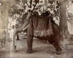 A black and white photograph of a family seated on top of an elephant, which is being held by a man. Pen writing on the photograph indicates it was taken in Patna, India, in 1906