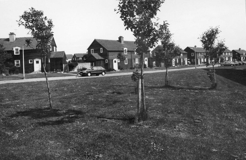 Black-and-white photo of wooden-clad semi-detached houses along a quiet street with grassy verge, young trees, and parked cars.
