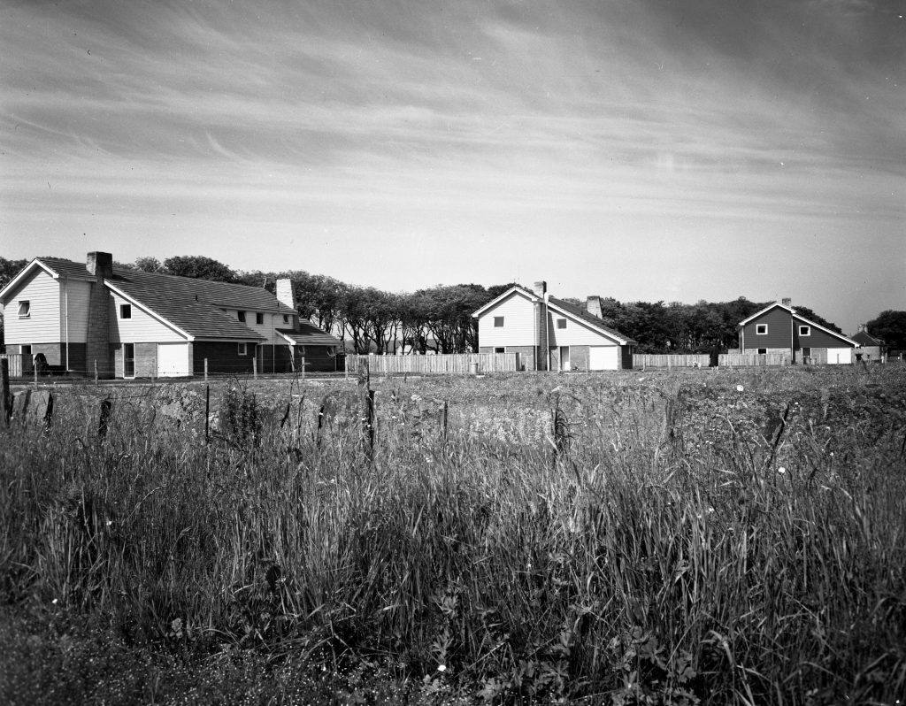 Black and white photograph showing three detached houses with pitched roofs and chimneys, arranged in a row behind wooden fences. The houses are set in a grassy field with tall wild vegetation in the foreground. A line of trees is visible in the background under a lightly clouded sky.