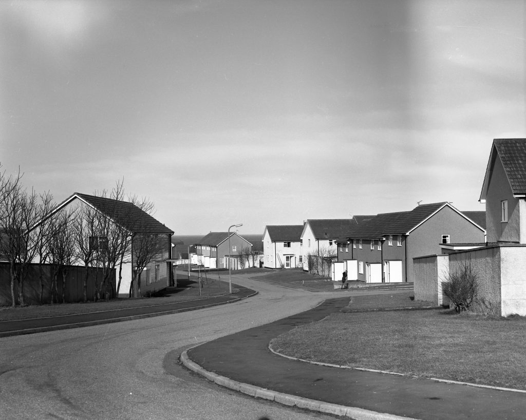 Black-and-white photo of a curved street lined with modern semi-detached houses, bare trees, and grassy verges under open sky.