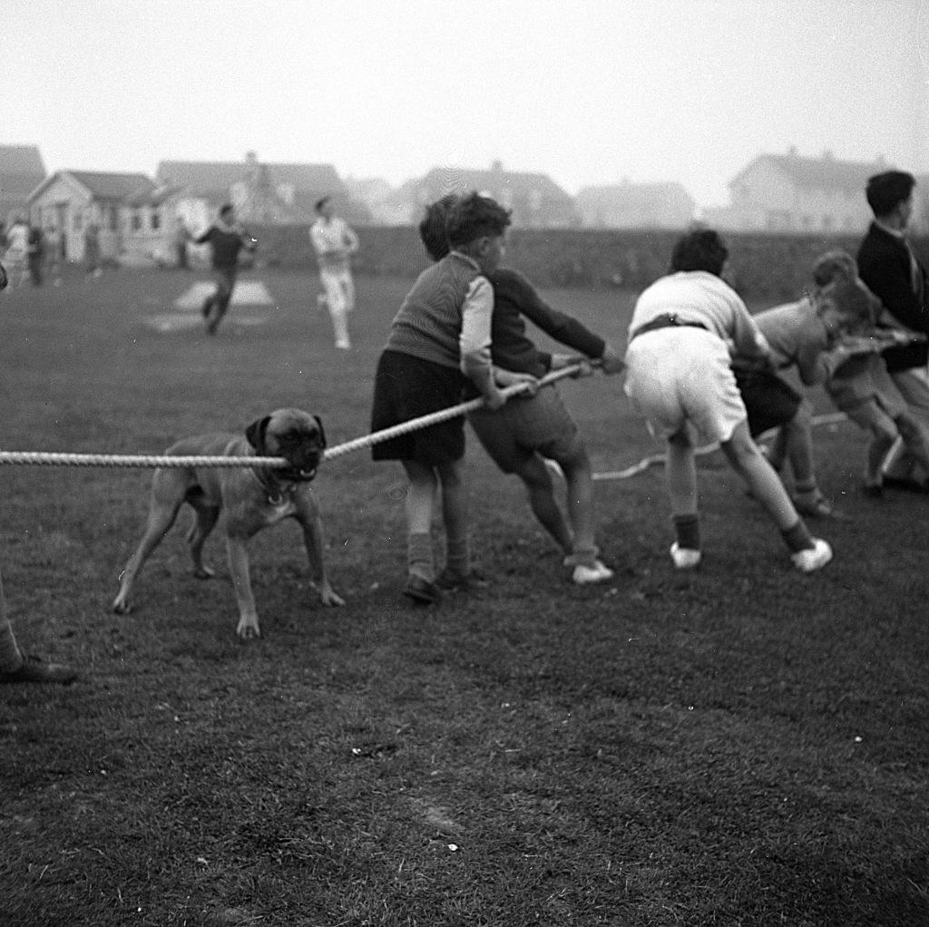 Children participating in a tug-of-war game on a grassy field during a sports day event. Several children are pulling a thick rope together, leaning backward for strength. A large dog is also gripping the rope with its mouth, appearing to join the game. In the background, more children and adults are visible, along with small houses and buildings under an overcast sky.