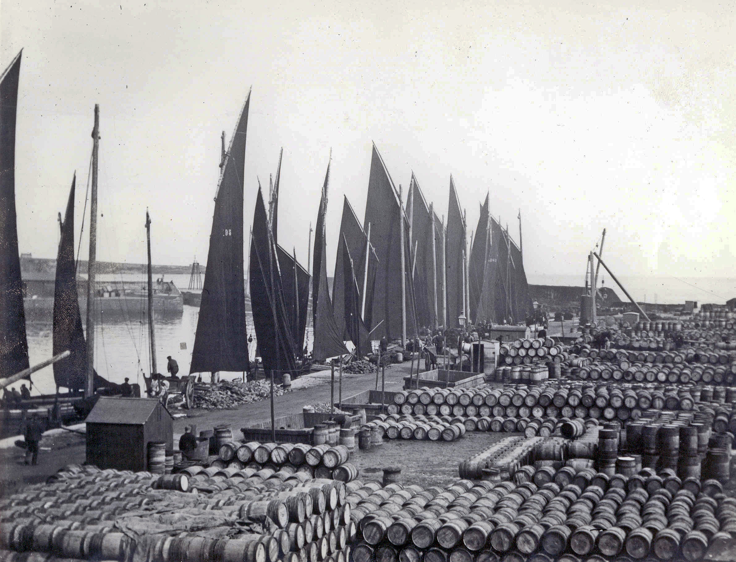 Wick Harbour n.d. (Courtesy of Am Baile Ref: CAITHHORZ CAIMS PHO314)