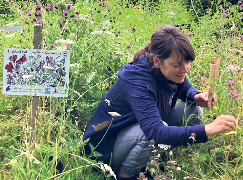 An adult female in dark blue clothes with dark hair is crouched down in a meadow of plants and flowers, studying them. There is a sign to the left that shows this is a Highland Wildflower Meadow.