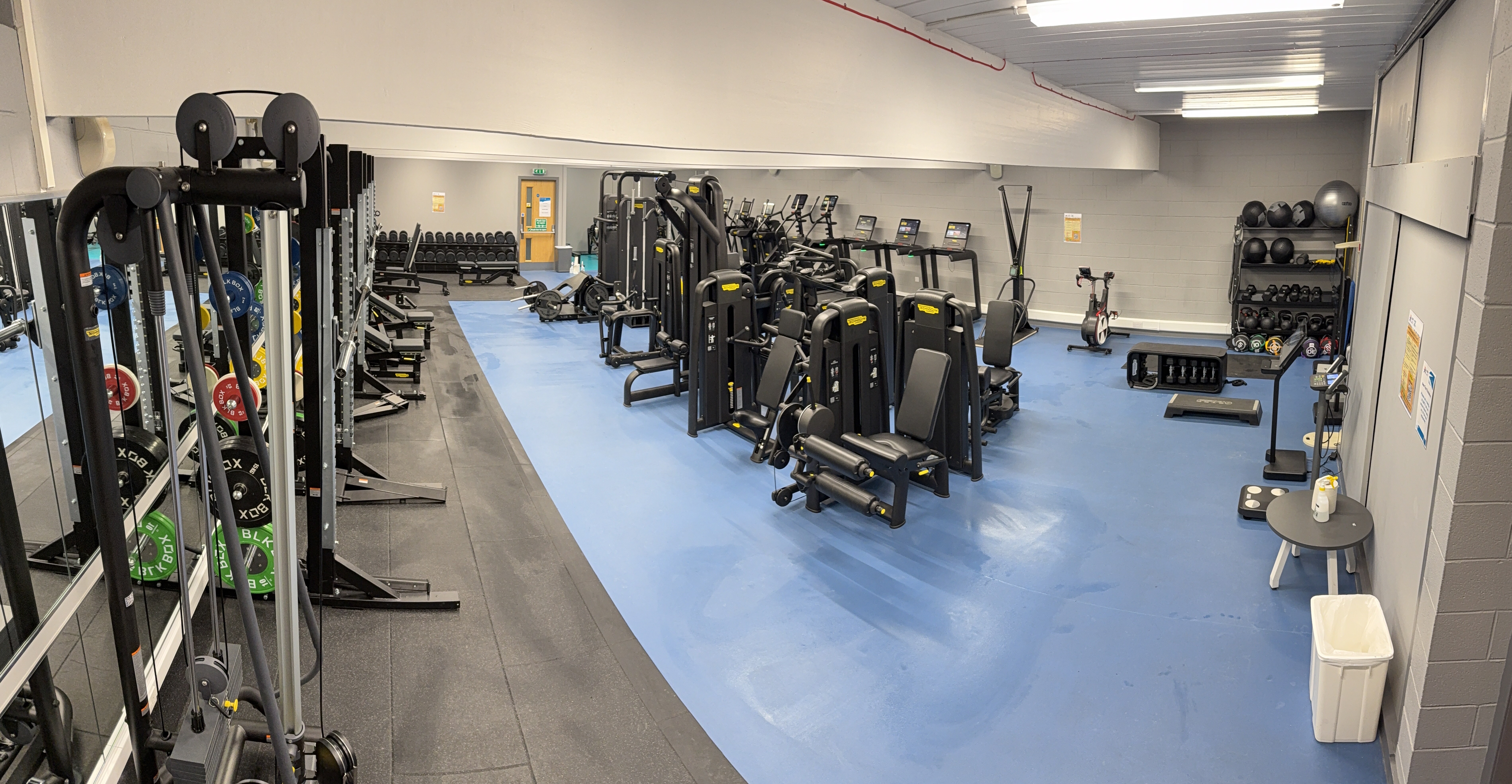 Wide view of a gym room with strength machines, free weights, squat racks, and cardio equipment arranged on blue and black flooring. Medicine balls, kettlebells, and other accessories are neatly stored on shelves along the wall.