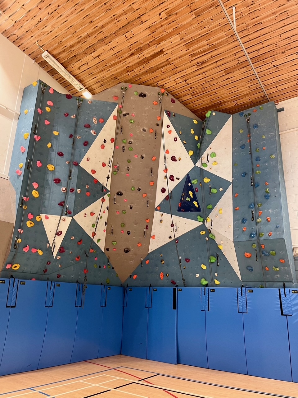 An upward shot of a climbing wall with multiple difficulty levels.