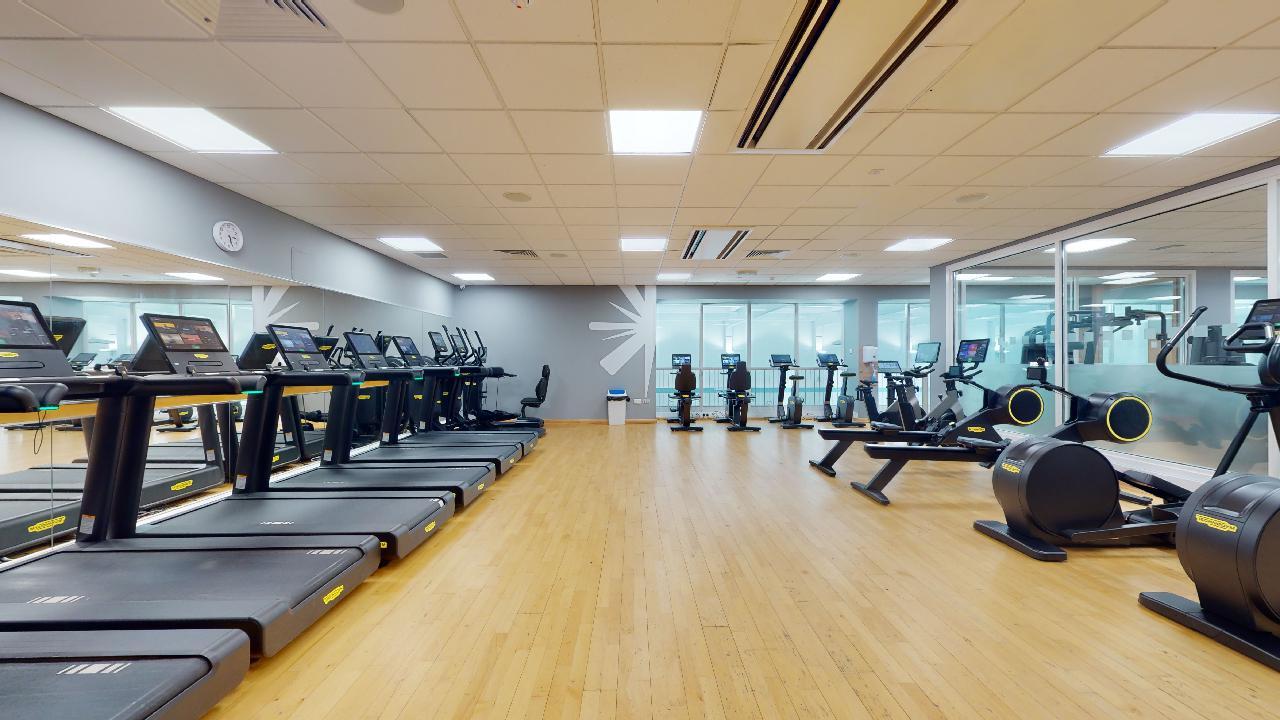 An indoor gym with wooden flooring featuring a row of treadmills on the left and various cardio machines, including stationary bikes and cross trainers, arranged along the back wall. Large windows on the right look into another exercise area, and bright ceiling lights illuminate the room.