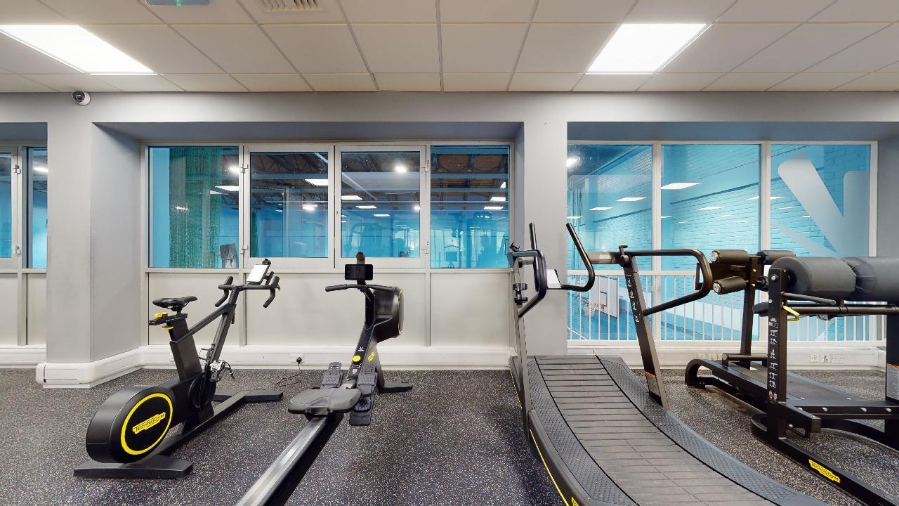 Gym area with black rubber flooring featuring a stationary bike, a rowing machine, and curved treadmills positioned in front of large interior windows. Through the windows, a bright blue wall and additional gym equipment are visible. The space is lit by overhead ceiling lights.