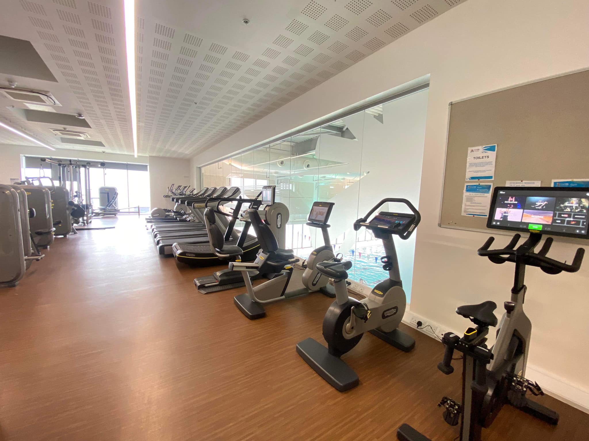 Cardio gym area with treadmills, bikes, and exercise machines lined up along the wall.