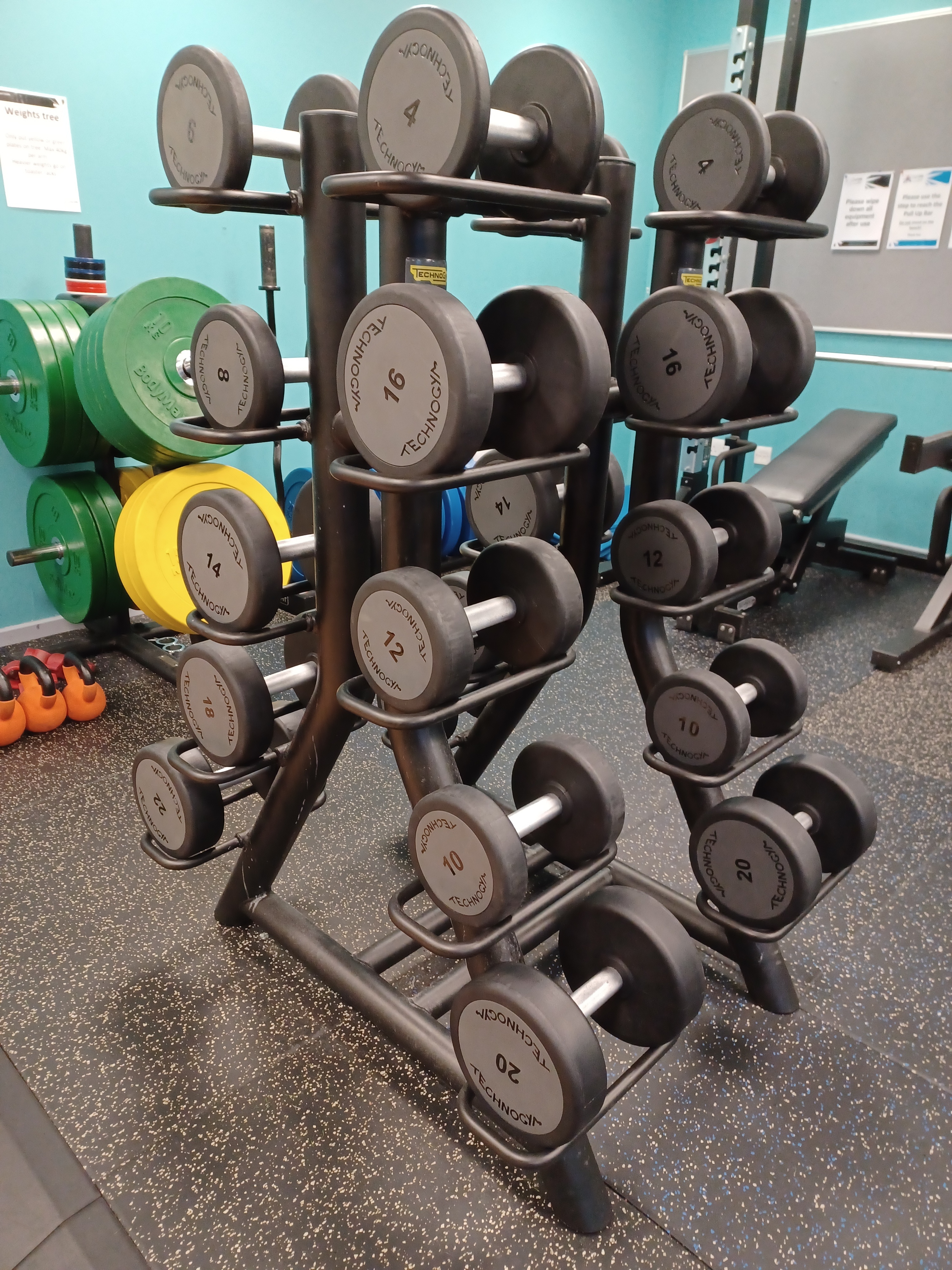 A rack of dumbbells arranged by weight in front of colourful weight plates and benches.