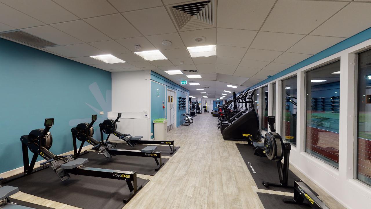 A long cardio area with rowing machines lined up along a blue wall on the left and treadmills positioned beside large windows on the right. The space has light wood‑effect flooring, bright ceiling lights, and a clear view through the windows into another exercise area.