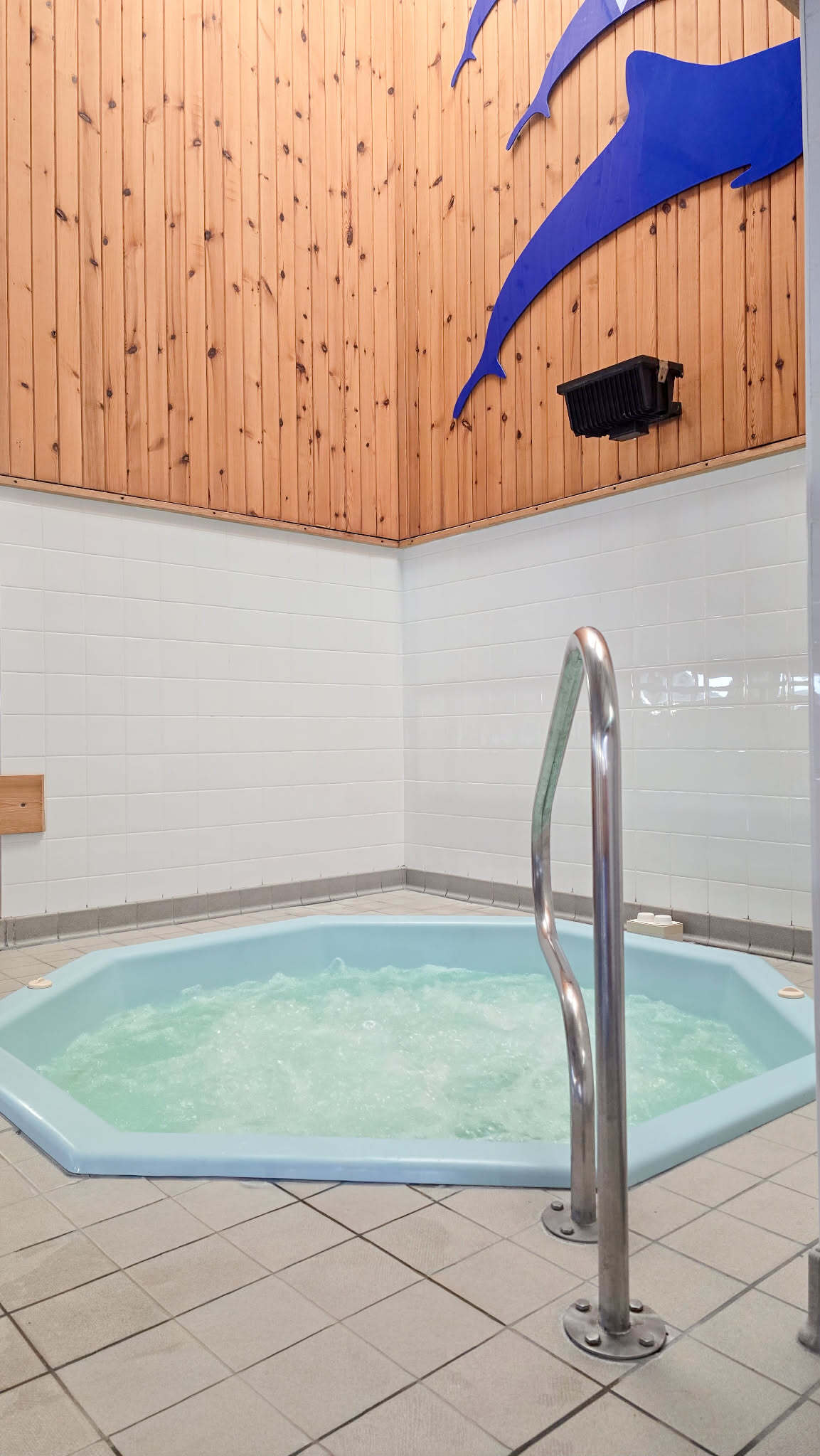 Jacuzzi bath with a hand rail in front to aide entry into the bath.