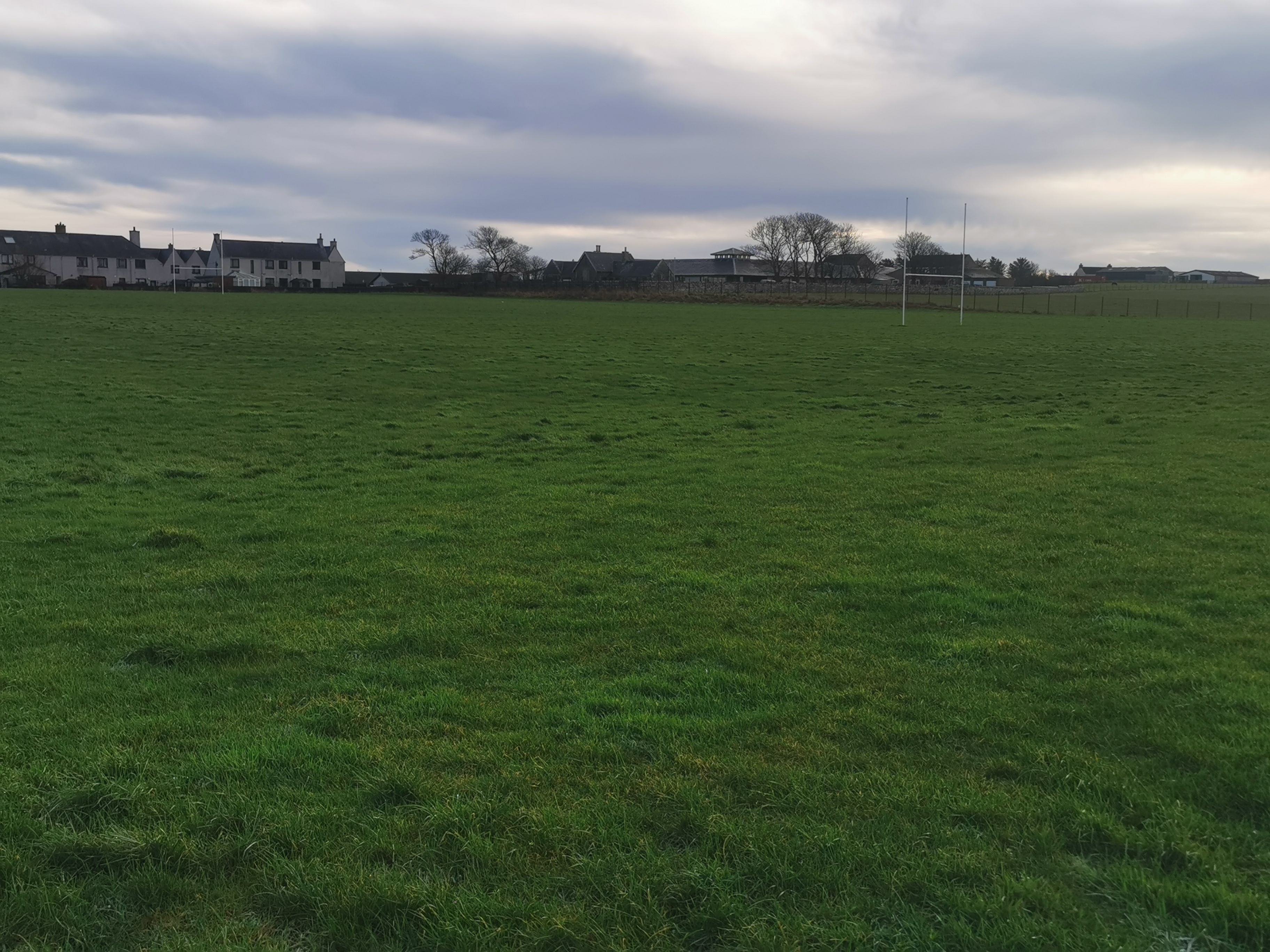 A large, green field prepped for rugby.
