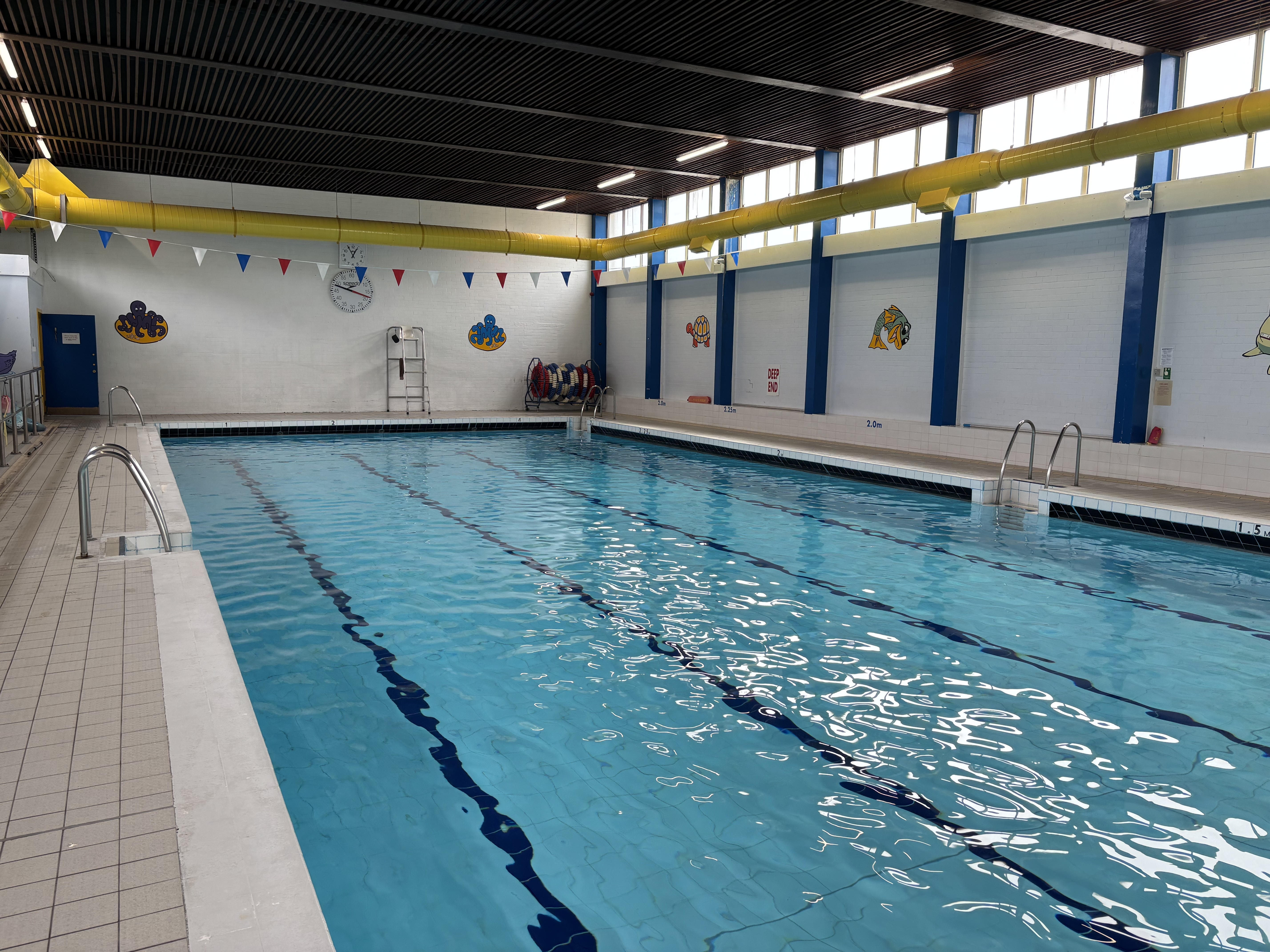 Indoor swimming pool with lane markers, and hanging flags.