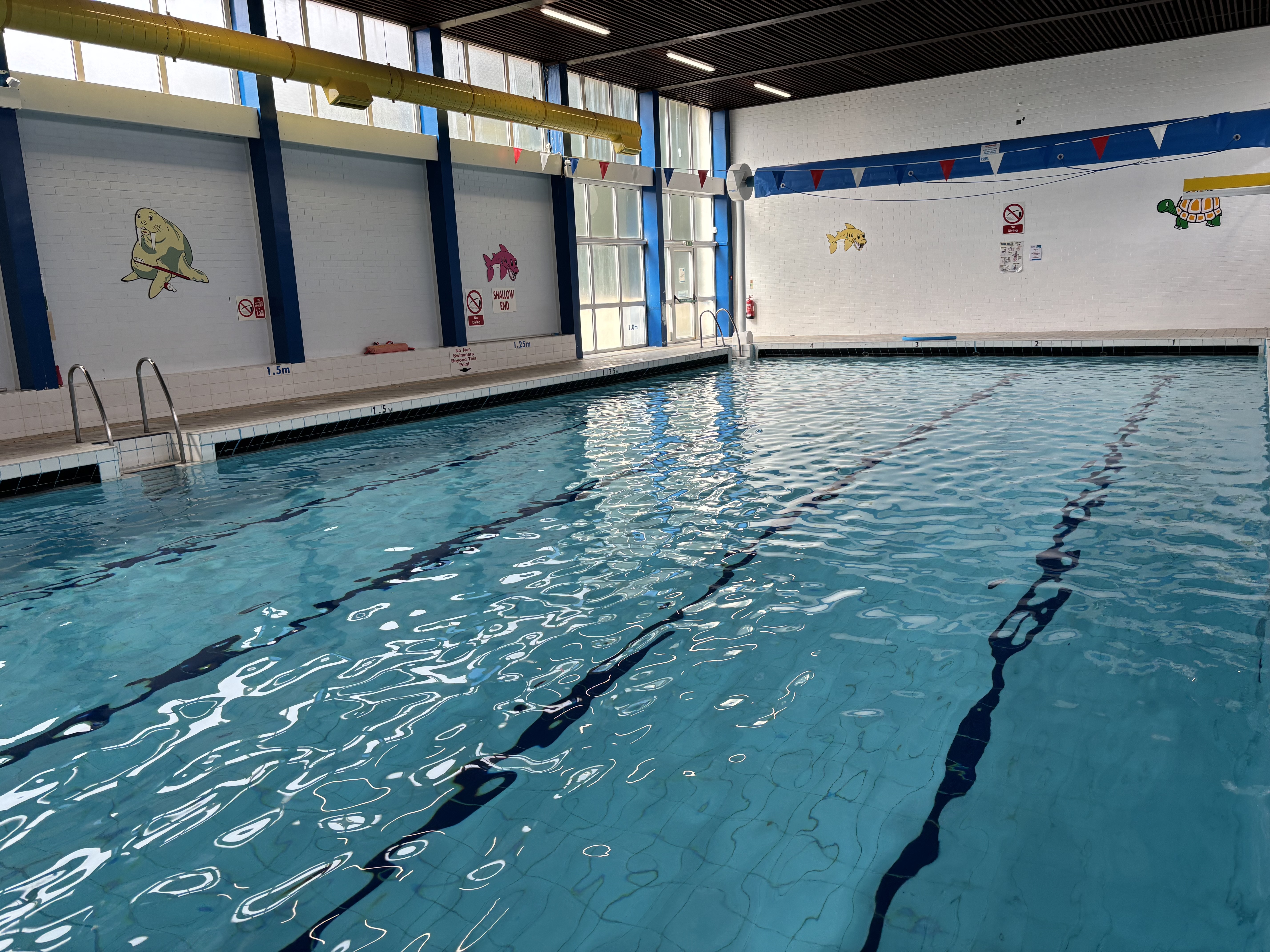 Indoor swimming pool with lane markers, and hanging flags.