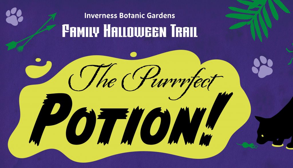 IBG Halloween Trail