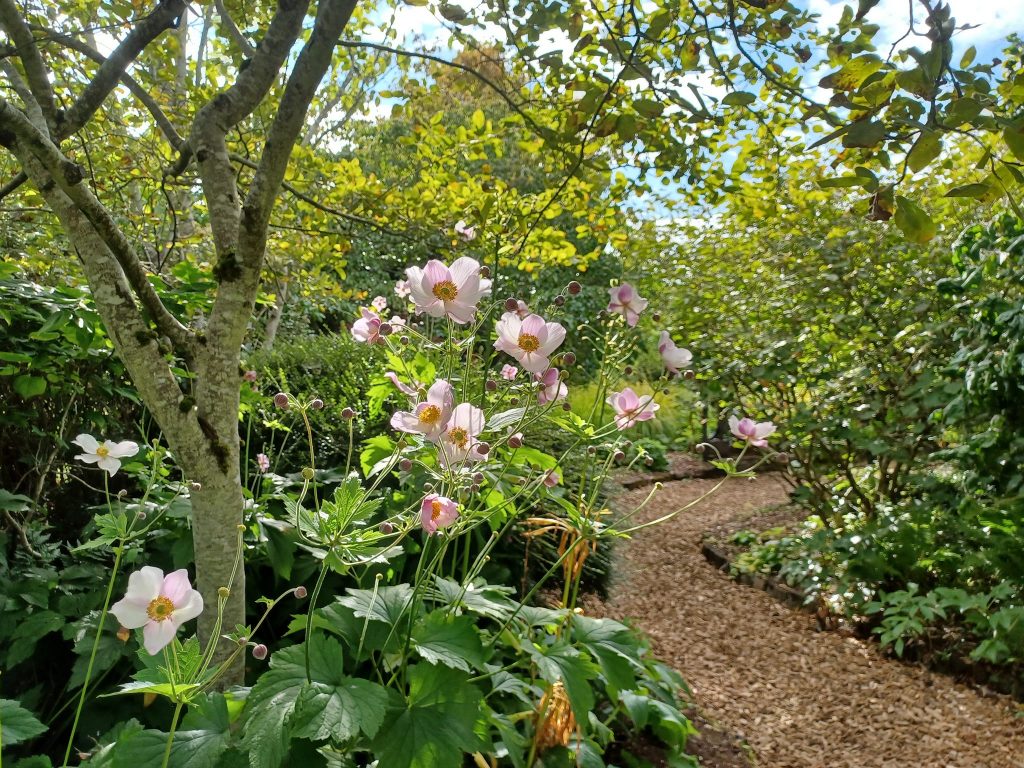 Inverness Botanic Gardens