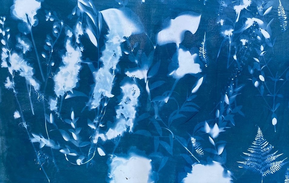 New collaborative cyanotype exhibition on display at IMAG’s Community