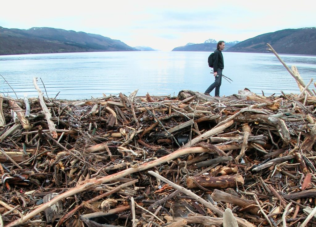 Leon Patchett gathering found natural objects for his sculptural art